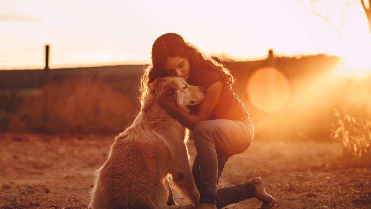 A New Study Finds That Dogs Can Recognize Human Emotions